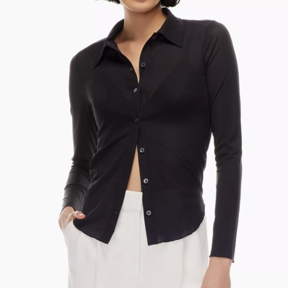 WILFRED (Aritzia) Pose Mesh Button-up Longsleeve - Picture 2 of 5